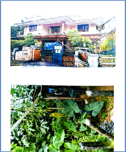 Digital Sale Corporation, Kerala (Archived)